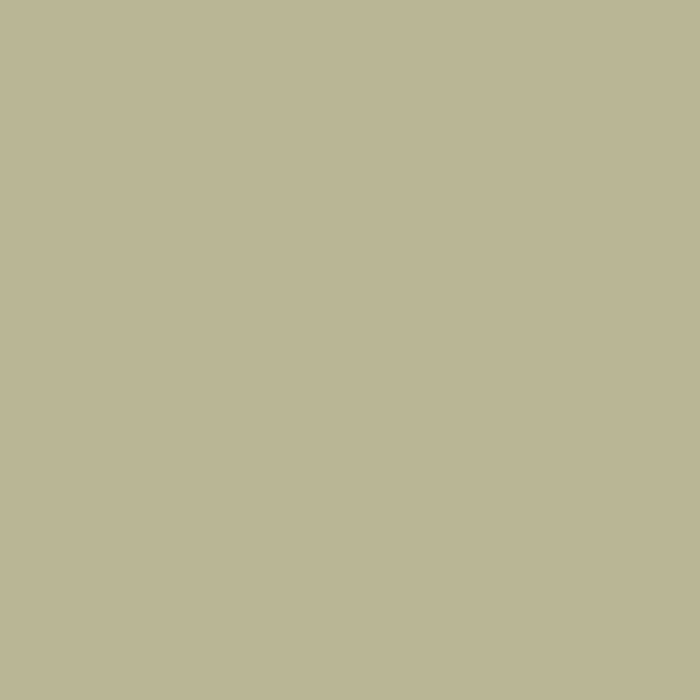 Fossil-2_7861c97c-442d-4047-bf40-3f006d8796d4.png