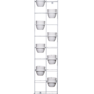 Rapid-Bloom-W-1-667x1000-1.png